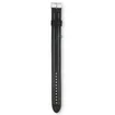 Watchband Casio AW-591CL-1A