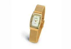 Skagen watch band 271SGG