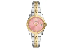 Fossil horlogeband - ES5173