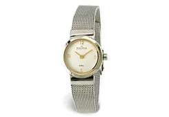 Skagen watch band 590SGS