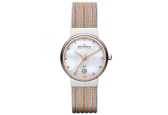 Skagen watchstrap 355SSRS