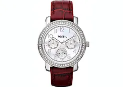 Fossil horlogeband ES2981