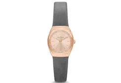 Skagen watch band SKW2241