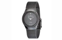 Skagen watch band 432SBSB