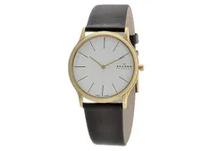 Skagen watch band 858XLGLD