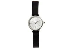 Skagen watch band SKW2361