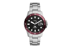 Fossil horlogeband FS6013