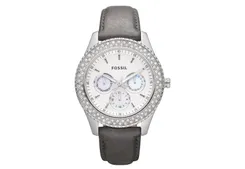Fossil horlogeband ES2995