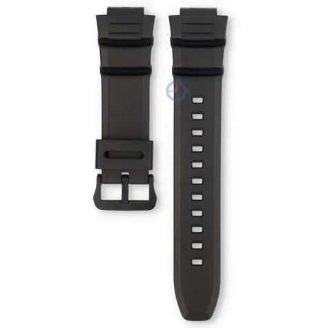Casio Uhrenarmband HDD-S100-1A