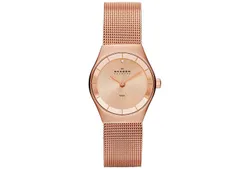 Skagen Uhrenarmband SKW2046