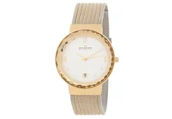 Skagen watch band SKW2087