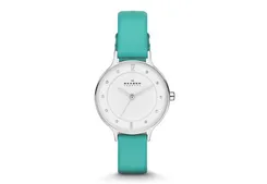 Skagen Uhrenarmband SKW2143
