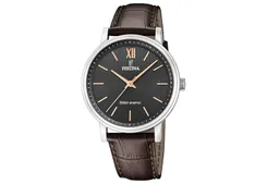 Festina Watch strap F20660-6