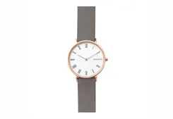 Skagen Uhrenarmband SKW2674