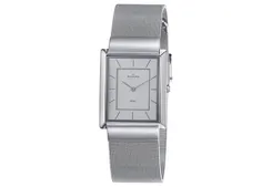 Skagen watch band 224LSS