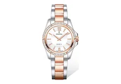 Festina Watchstrap F20595-1