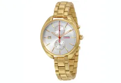 Fossil horlogeband CH2976