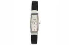 Skagen Uhrenarmband 522SSLC