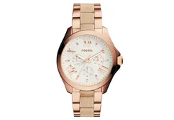 Fossil horlogeband AM4622