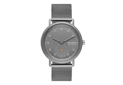 Skagen Watch Strap SKW6891