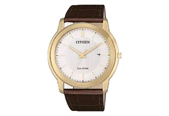 Citizen watchband AW1212-10A