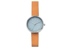 Skagen Uhrenarmband SKW2620