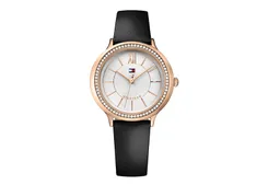 Tommy Hilfiger watchband TH1781853