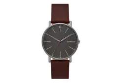Skagen Watch Strap SKW6860