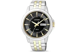 Citizen  BF2018-52EE watch strap