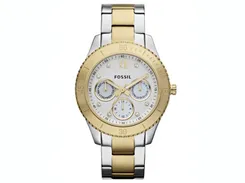 Fossil horlogeband ES3208