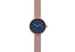 Skagen Uhrenarmband SKW2593