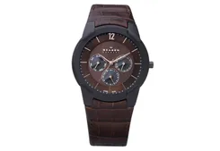 Skagen watch band 856XLDRD