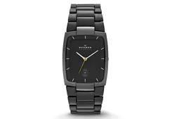 Skagen watch band SKW6047