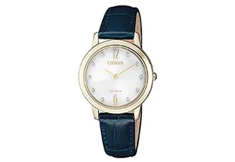 Citizen watchband EX1493-13A