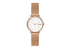 Skagen Uhrenarmband SKW1153