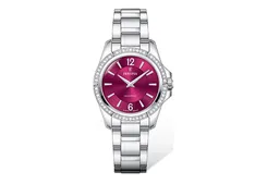 Festina Watchstrap F20593-2