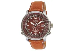 Citizen watchband AS2031-14W