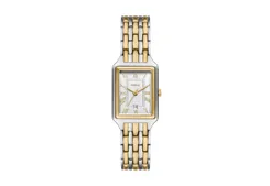 Origineel bandje voor Fossil: ES5368
