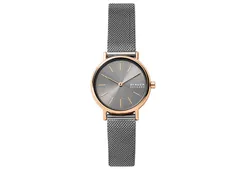 Skagen Uhrenarmband SKW2996