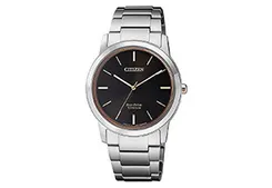 Citizen watchband FE7024-84E