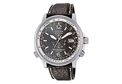 Citizen watchband AS2031-06E