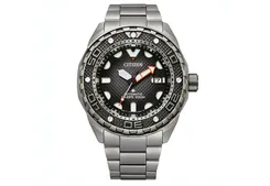 Citizen watch strap NB6004-83E