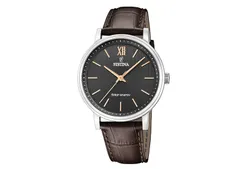 Festina Watchstrap F20660-6