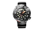 Citizen watchband BN7020-09E