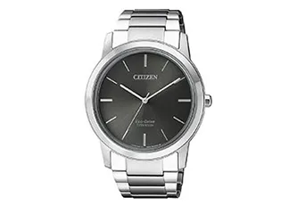 Citizen watchband AW2020-82H