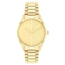 Calvin Klein watch-band 25200346 ICONIC