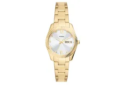 Fossil horlogeband - FS5199