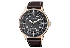 Citizen watchband BM7393-16H