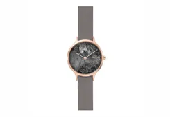 Skagen Uhrenarmband SKW2672