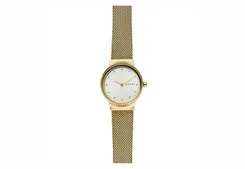 Skagen watch strap SKW2717